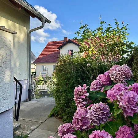 In Feroinwohnung 3 Delux Daire Klein Zicker