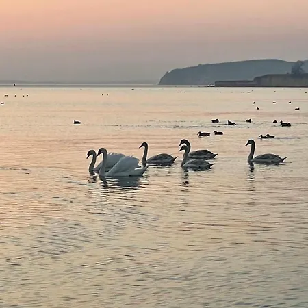 In Feroinwohnung 3 Delux Klein Zicker
