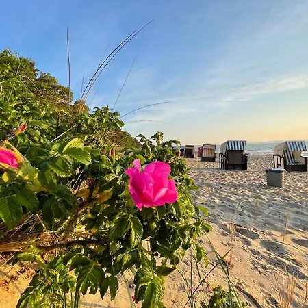 In Feroinwohnung 3 Delux Daire Klein Zicker