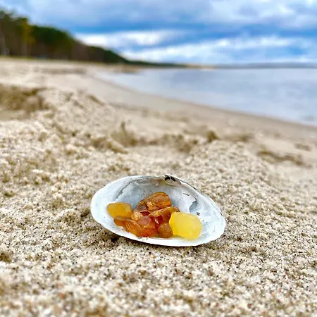 In Feroinwohnung 3 Delux Daire Klein Zicker